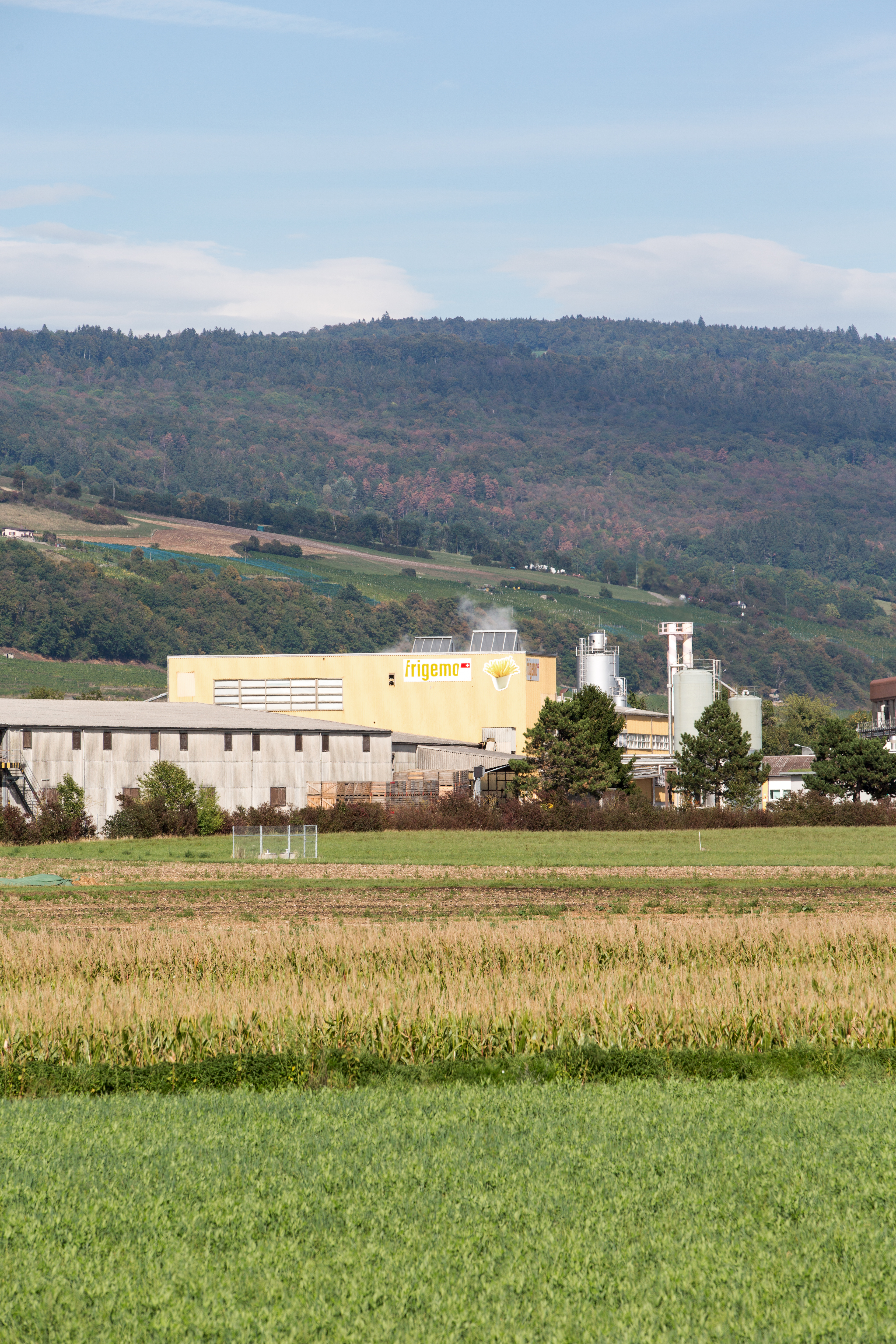 Frigemo AG in Cressier Thumbnail