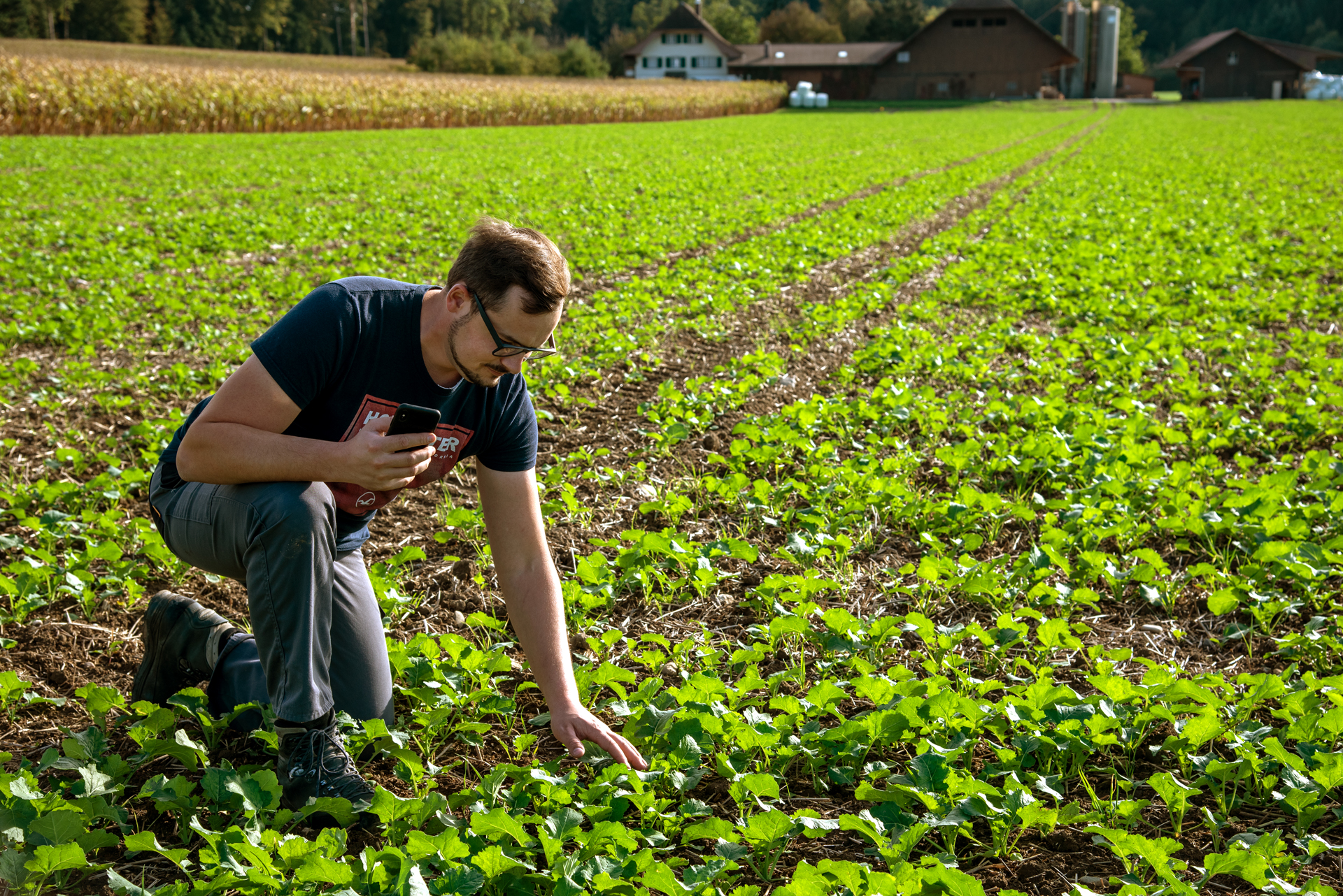 Digitaler Pflanzenschutz AGROLINE Service