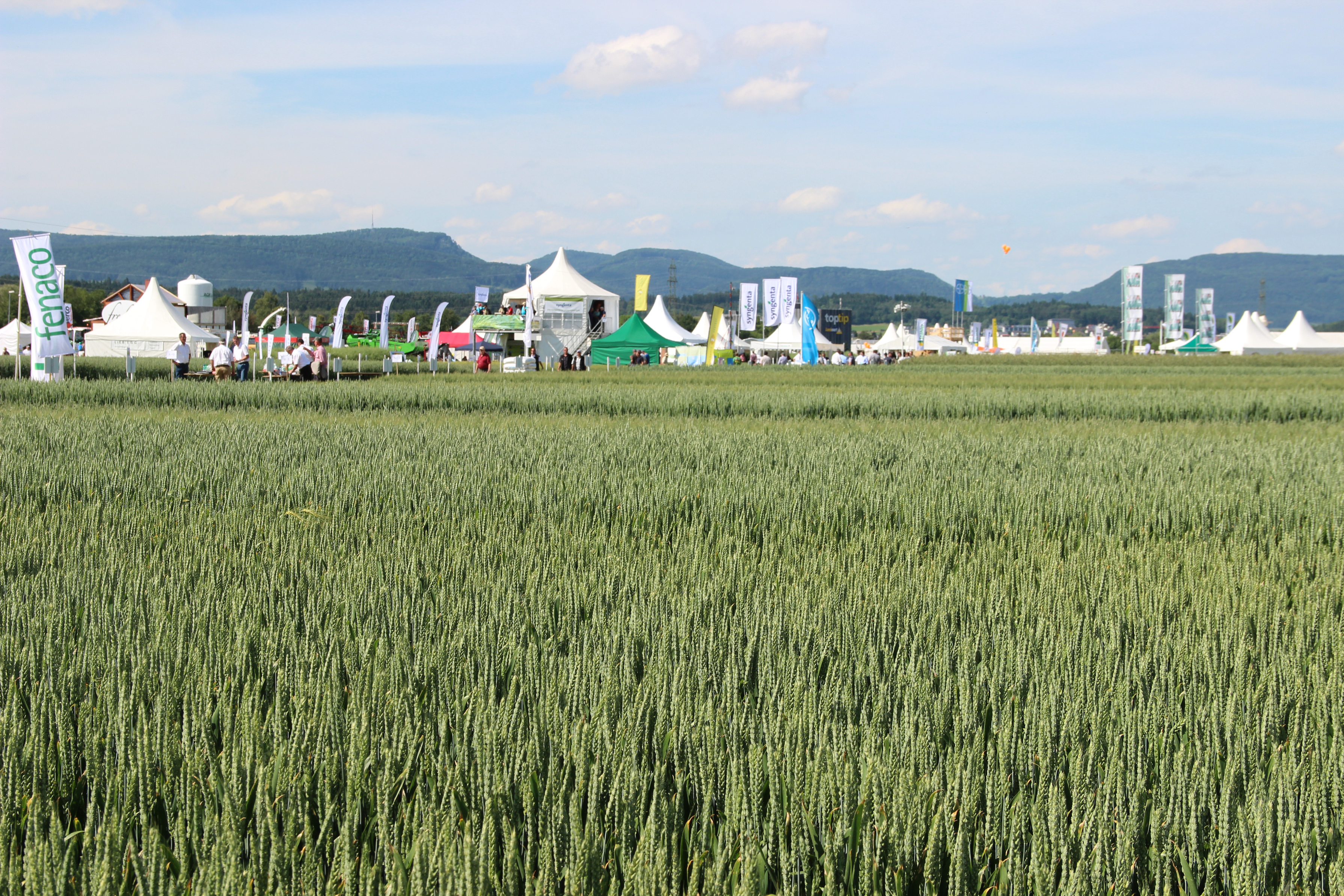 Feldtage 2014
