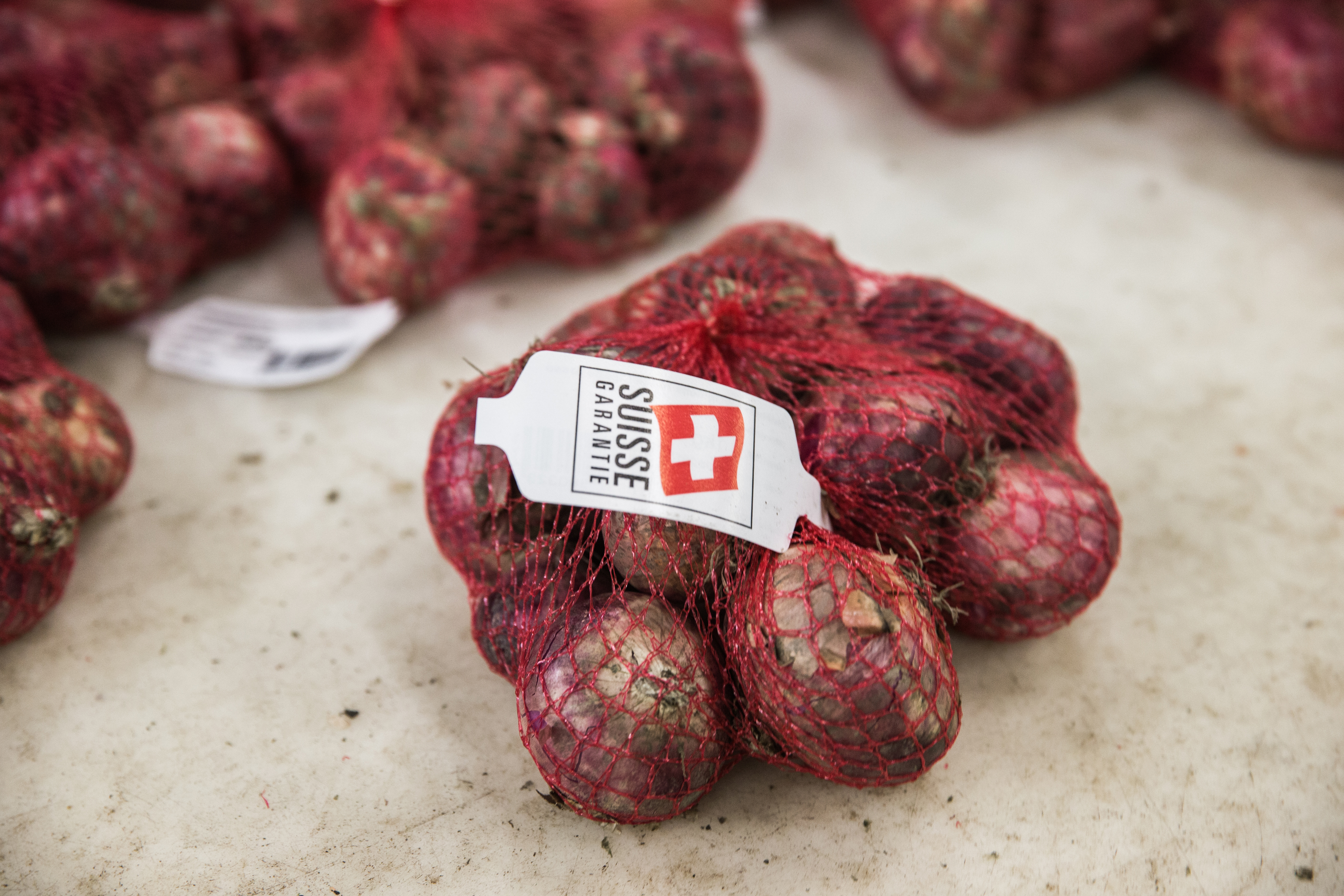 Zwiebeln mit Suisse-Garantie-Label Thumbnail