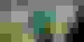 Detailhandel LANDI